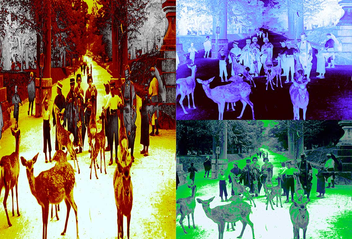 Sol naciente en el Palacio de Invierno