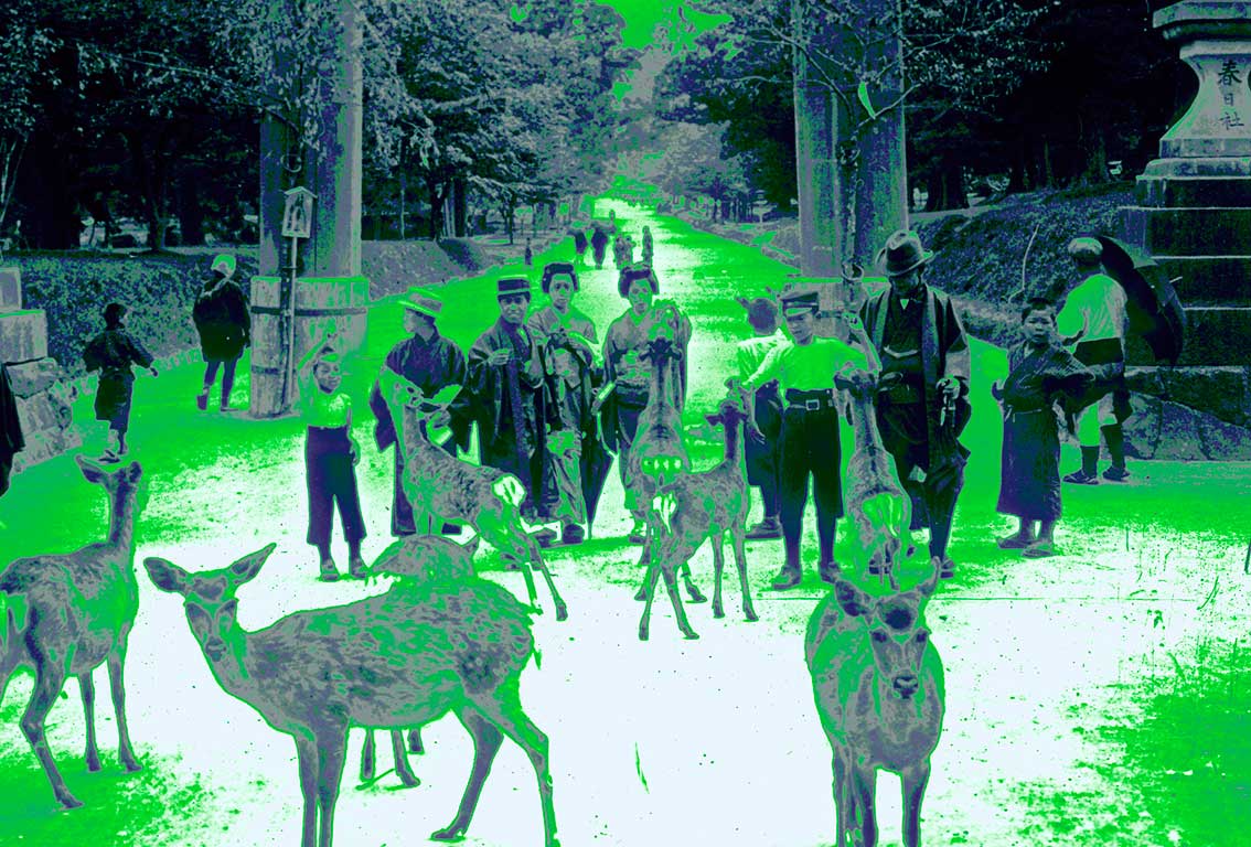 Sol naciente en el Palacio de Invierno