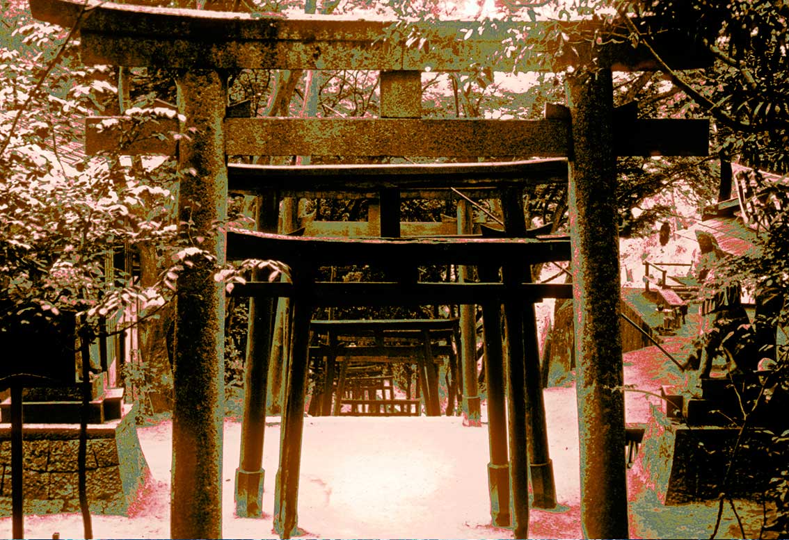 Sol naciente en el Palacio de Invierno